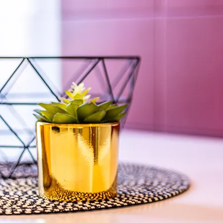 Homelame 57 公寓 博洛尼亚